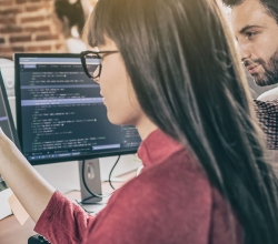 Web Development