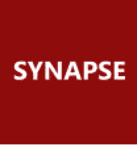 Synapse